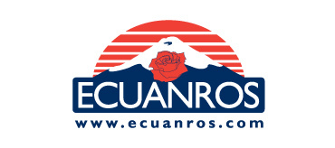 Описание изображения